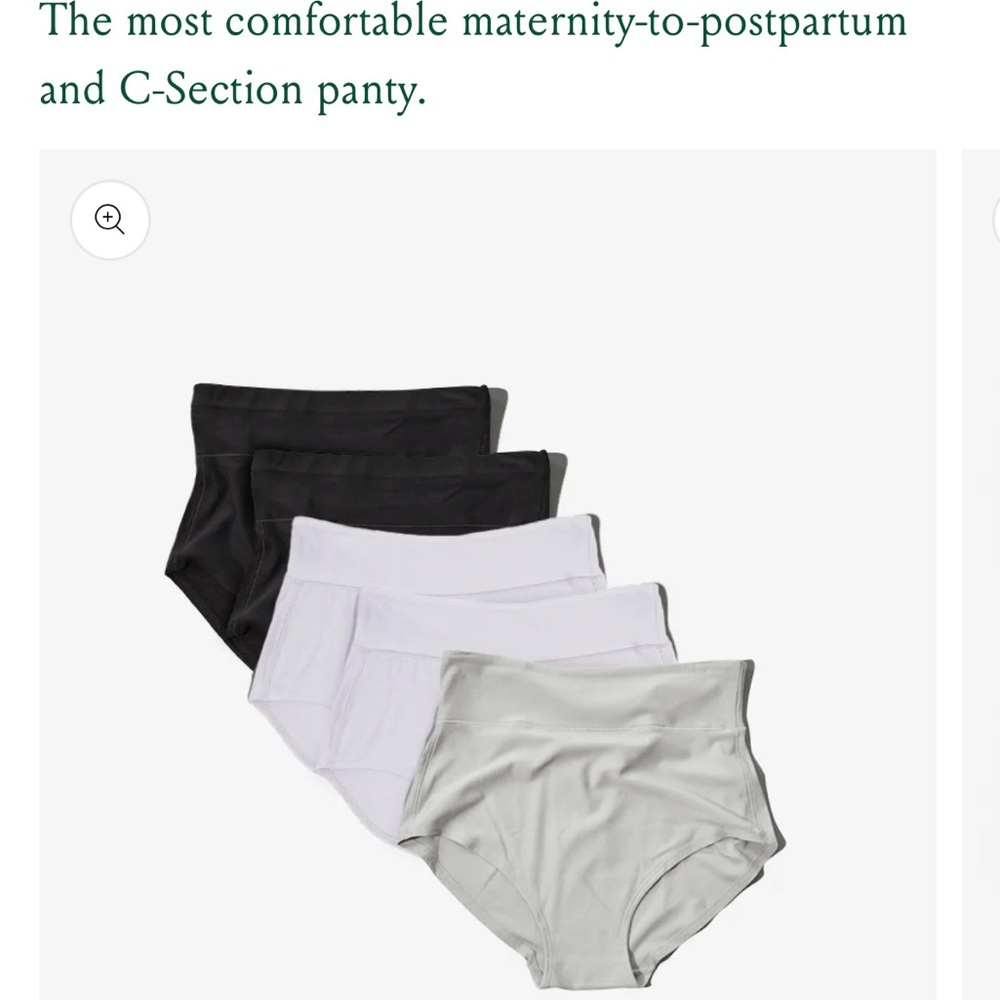 NWT Bodily maternity and postpartum underwear 5 pack. Never opened. Size Large.